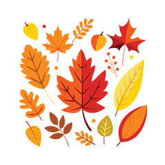 Obraz premium Vibrant collection of autumn leaves and berries in warm colors