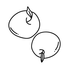 Black and white doodle apple illustration, hand drawn line art fruit sketch, simple outline isolated.