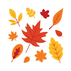 Fototapeta premium Collection of vibrant autumn leaves in various shapes and colors