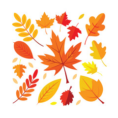 Vibrant collection of autumn leaves in various shapes and colors