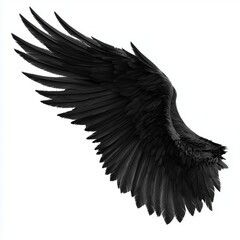Naklejka premium Majestic Black Angel Wings , PNG isolated cut out image