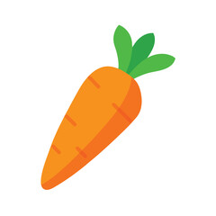 Carrot Fresh Vegetable Vector Illustration  