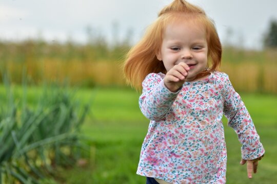 Red-haired toddler in floral shirt running happily on grass in countryside. Active child enjoying outdoor fun and freedom in rural summer nature.