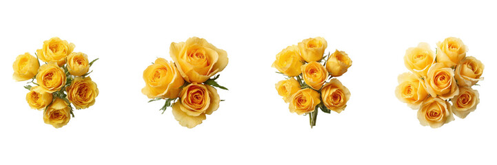 Yellow Rose Bouquets Set. Floral Arrangement And Gift Ideas Collection Isolated On Transparent Background