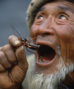 Naklejki An Asian man is about to taste an insect, demonstrating a unique cultural culinary experience.