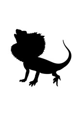 Silhouette of a Frilled Lizard