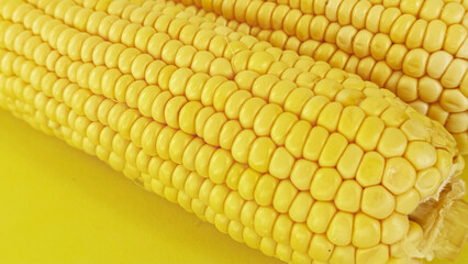 Sweet Corn Cobs on Yellow Background — Texture and Mockup, Minimal Flat Lay with Copy Space for Packaging, Branding, Banner and Template Design