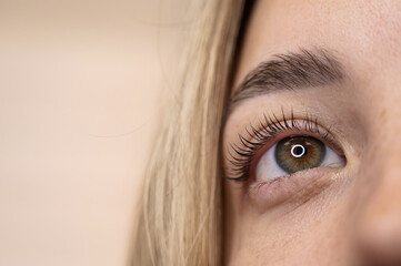 Close-up of a woman's eye after eyelash lamination procedure. 