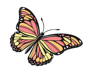 Elegant butterfly illustration with vibrant wings featuring beautiful shades of pink orange and yellow against a clean white background ready for your design needs