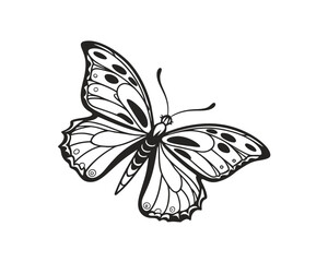 Elegant Butterfly Illustration in Black and White Detailed Wing Patterns Minimalist Insect Design Symbol of Transformation and Beauty