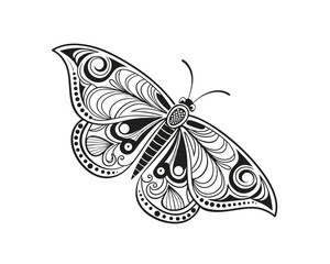 Elegant Butterfly Design Black and White Intricate Patterned Wings Detailed Vector Illustration for Coloring Pages and Creative Projects