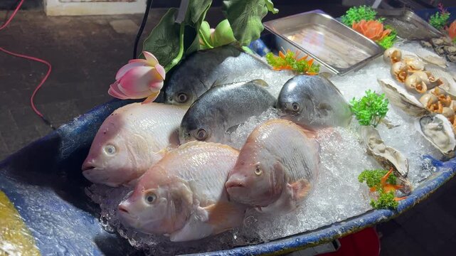 Street seafood market in Asia, Thailand. Fresh seafood, various sea fish in ice are sold on display at a street market. Close-up of fresh seafood with ice. Asian food concept