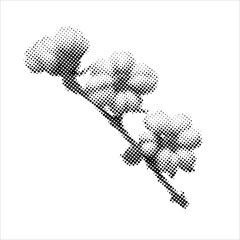 Cotton branch in halftone style. Retro textured style with dotted halftone effect. For eco decor, textile design, posters and packaging.