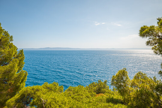 View of Adriatic Sea from Osejava Forest Park Makarska Croatia with turquoise blue water framed by green pine trees under clear bright summer sky