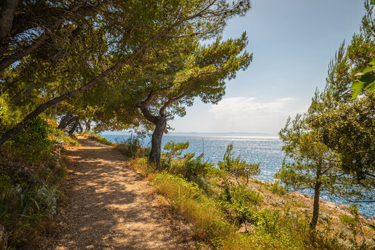 Coastal hiking path in Osejava Forest Park Makarska Croatia shaded by pine trees with view of Adriatic Sea under bright summer sunlight