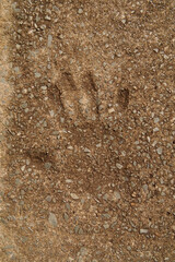 NC Hville Hand Print V 2025
