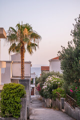 Fototapeta premium Narrow residential street in Makarska Croatia with palm tree, blooming flowers, white houses and Adriatic Sea view under soft pastel evening sky