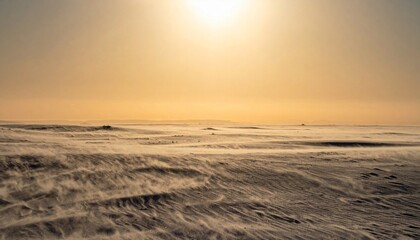 Obraz premium Serene Desert Horizon with Golden Sunlight Sky and Sand Dunes Landscape in North Africa