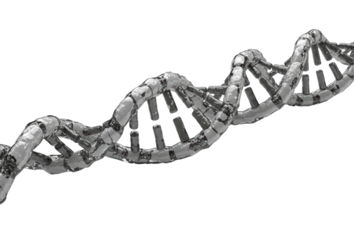 Isolated DNA double helix structure, genetic code molecule model, medical research concept
