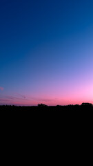 Fototapeta premium Serene Sunset Over Silhouetted Treeline