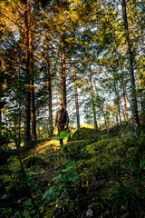 Naklejka premium Hiker with backpack on mossy forest path in morning light