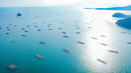 ドローン空撮による冬の瀬戸内海の牡蠣漁風景多島美（岡山県）/Oyster...