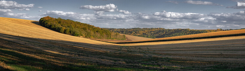 Beautiful landscape of agricultural lands. Autumn field landscape. Corn field. Harvesting time in agro-industrial farming.