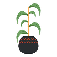 Bamboo plant in black decorative pot Vector