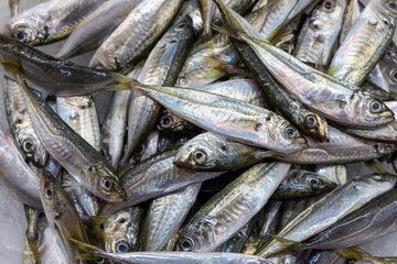 Fototapeta premium Pile of Fresh Fish
