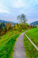 Footpath in a countryside, northeast Switzerland