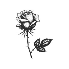 Intricate black and white rose drawing with detailed leaves