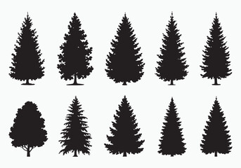 Obraz premium Collection of diverse pine and fir tree silhouettes for natural landscape design and winter holiday themes white background
