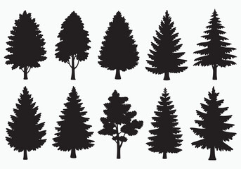 Fototapeta premium Collection of diverse evergreen trees silhouettes for winter holidays and forest designs on a clean background white background