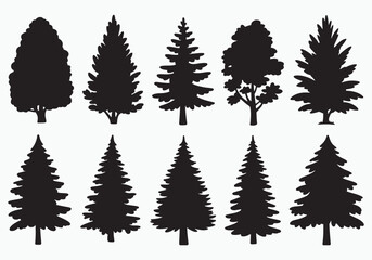 Obraz premium Collection of diverse pine and evergreen tree silhouettes for outdoor and nature designs white background