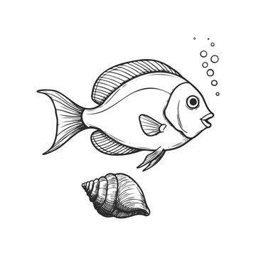 Hand-drawn fish and seashell illustration with bubbles on white background
