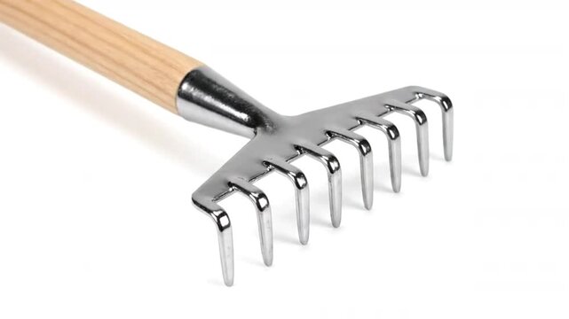 Garden rake with wooden handle  metal tines on a white background