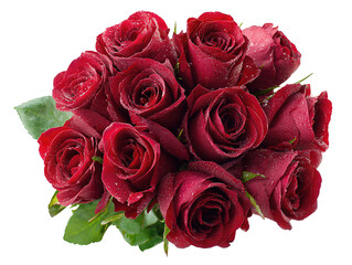 Obraz premium A bouquet of a dozen deep red roses with trimmed stems and slight dew sheen, top view, isolated on transparent background. 