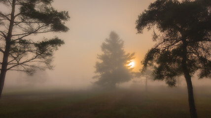 Morning mist on a beautiful golf course in Quebec, Canada.Golf,Fog,Golf Course,No 