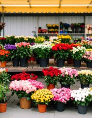 Colorful flower market display