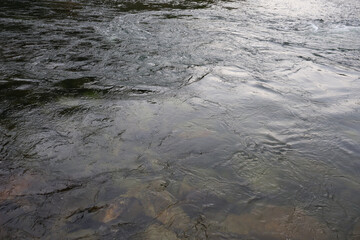 water flowing in the river