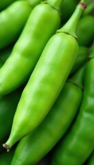 Close-up of broad bean pods with green and white stripes , plant, pod, vegetable