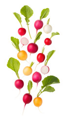 Floating composition of colorful radishes arranged in mid-air, isolated on transparent background