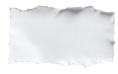 Blank, ripped, white sheet of paper
