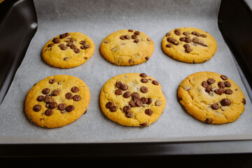 Freshly baked chocolate chip cookies in tray on parchment paper, closeup food photography
