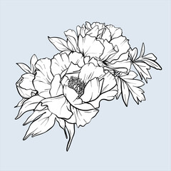 Bouquet of peonies line art. EPS 10. Flower sketch painted by black inks. Hand drawn outline flowers. Peony vector flower illustration. Flowers Engraving for wedding invitations, save the date card