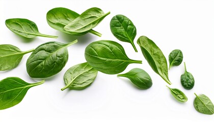Obraz premium falling spinach isolated on white background