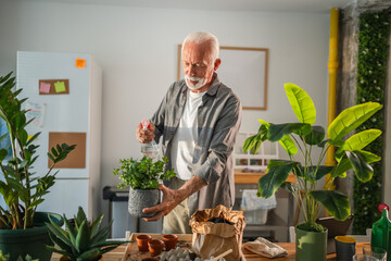 Senior man watering plants in modern apartment: cultivating green hobby