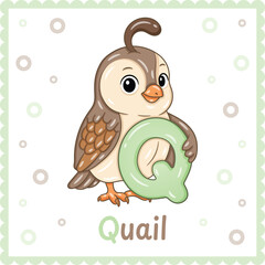 Letter Q with Quail Cute Educational Alphabet Flashcard for Kids