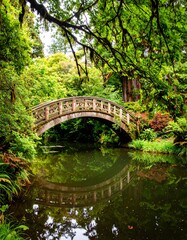 Tranquil garden bridge reflecting in water