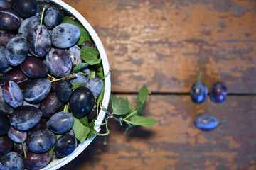 Bucket filled with ripe, delicious plums , plum, fruit, bucket, ripe, juicy, fresh, sweet, organic, harvest, food